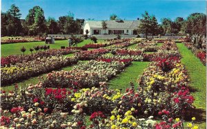 The Jackson & Perkins Rose Garden Newark New York