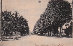 Postcard Market St Warren PA 1908