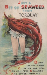 Seaweed From Torquay Sea Devon Comic Old Mailing Novelty Postcard