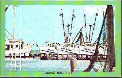 TX Corpus Christi Shrimp Boat Fleet