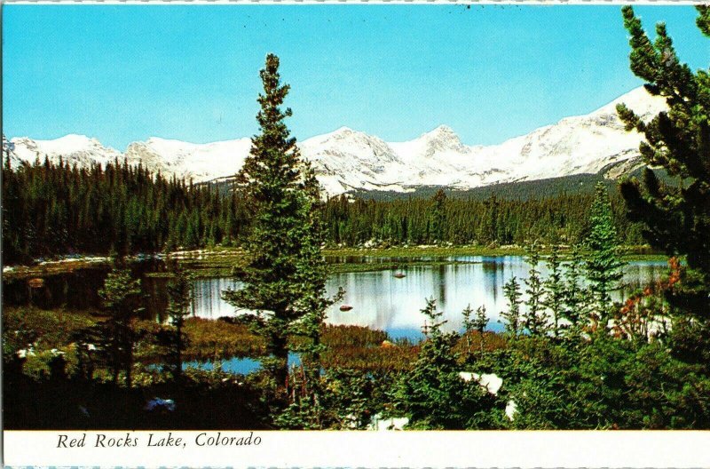 Red Rocks Lake Colorado Plastichrome Pine Forest Snow Mountain Postcard Vtg 