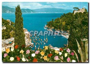 Modern Postcard Portofino Little Harbor