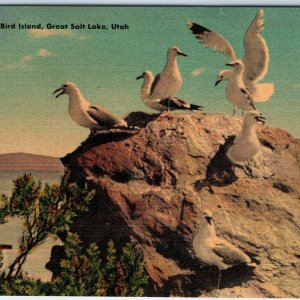 c1940s Great Salt Lake UT Seagulls Bird Island Linen PC Nature Animal Scene A287