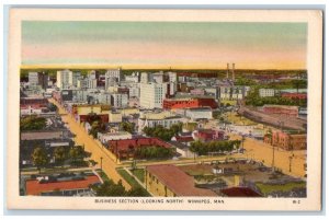 Winnipeg Manitoba Canada Postcard Business Section Looking North c1950's