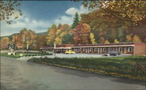 White Sulphur Springs WV Old White Motel Linen Postcard