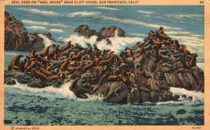 Vintage Postcard 1941 Seal Herd near Cliff House San Francisco California CA