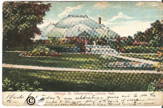 Over 100 Year Old Postcard, Chicago Illinois Conservatory in Lincoln Park 1906