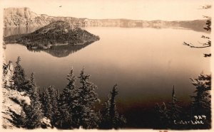 Postcard Real Photo Crater Lake National Park Oregon Forest RPPC