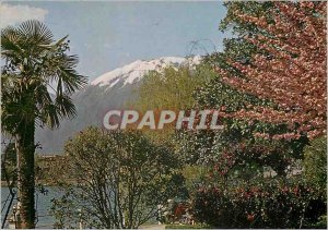 Modern Postcard Locarno Lago Maggiore