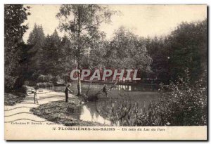 Plombieres les Bains - A corner of Lake Park Old Postcard