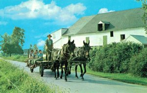 Amish Farmer driving his wagon home after an afternoon of working in his neig...