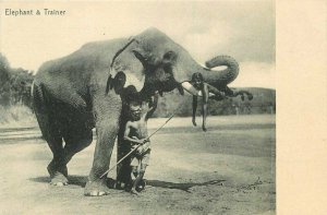 C-1905 India Elephant Trainer undivided Postcard 21-2774
