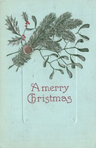 Vintage Postcard 1910's A Merry Christmas Special Holiday Season's Greetings