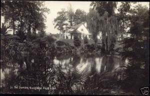 new zealand, AUCKLAND, In the Domain (1930s) RPPC