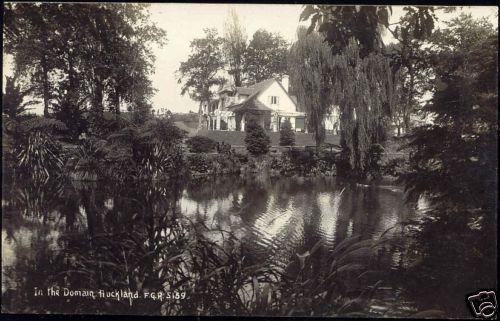 new zealand, AUCKLAND, In the Domain (1930s) RPPC