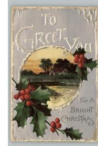 Christmas Holly Berries House c1910 Postcard