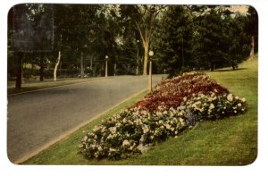 Flower Gardens Along Dominion Driveway, Ottawa, Ontario, Used 1956