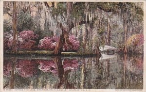 Across The Lake Magnolia On the Ashley Charleston South Carolina