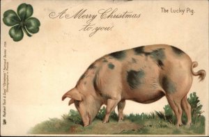 TUCK CHRISTMAS The Lucky Pig EARLY TUCK Antique Postcard
