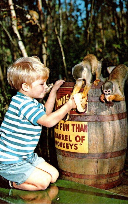 Florida Homosassa Springs More Fun Than A Barrel Of Monkeys