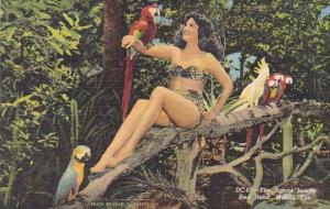 Florida Miami The Parrot Jungle Red Road