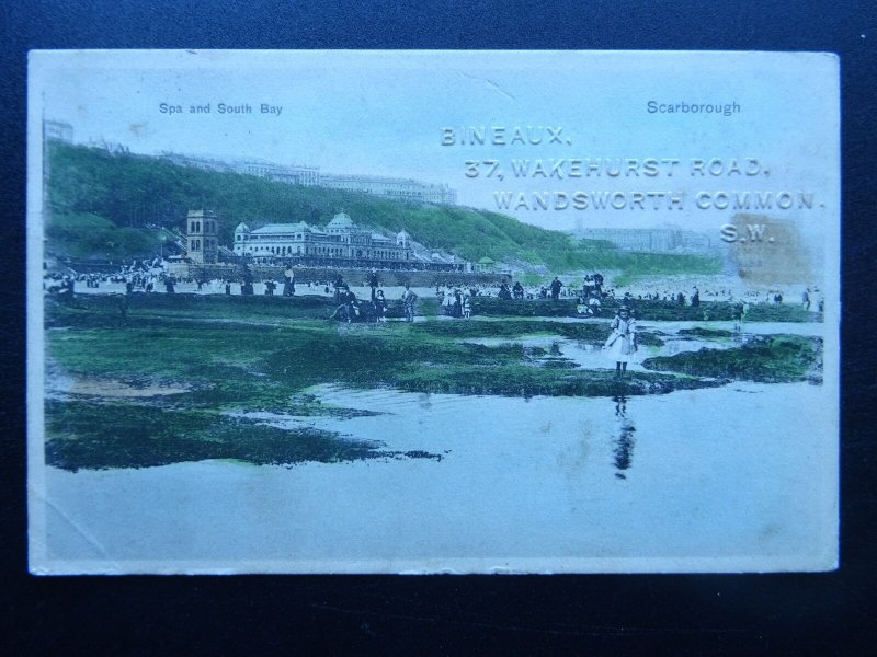 Yorkshire SCARBOROUGH Spa & South Bay c1902 UB Postcard by Stewart & Wolf