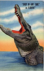 1940s Drop in Any Time in Florida Alligator Humor Postcard