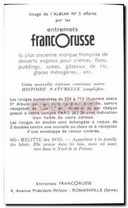 Image Entremets Francorusse Melitte Hood