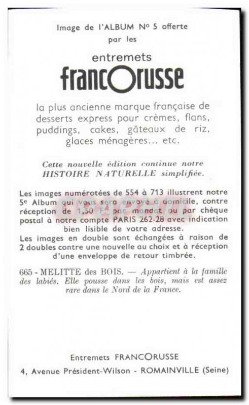 Image Entremets Francorusse Melitte Hood