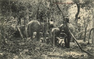 PC CPA CEYLON - SRI LANKA, ELEPHANTS IN KRAAL, VINTAGE POSTCARD (b14813)