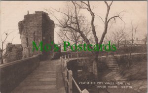 Cheshire Postcard - Chester, The City Walls Near The Water Tower  RS34047