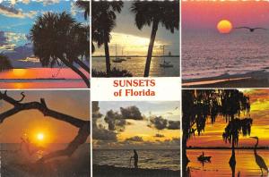 BR23473 Sunsets of Florida   usa