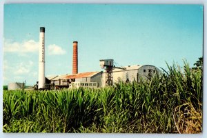 Arecibo Puerto Rico Postcard Central Cambalache Sugar Mill 1969 Vintage