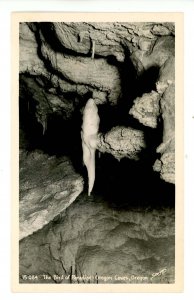 OR - Siskiyou Mountains.Oregon Caves Nat'l Monument Bird of Paradise RPPC