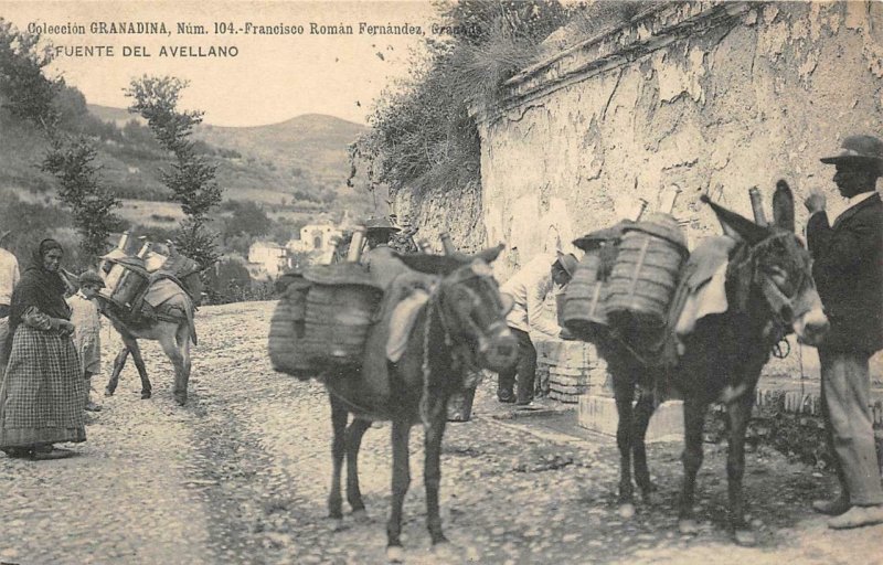 Coleccion GRANADINA Fuente del Avellano Granada, Spain c1910s Vintage Postcard