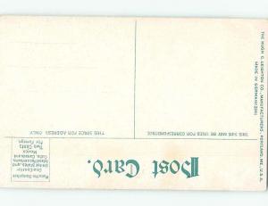 Unused Divided-Back POSTCARD FROM Rock City - Olean New York NY HM6192