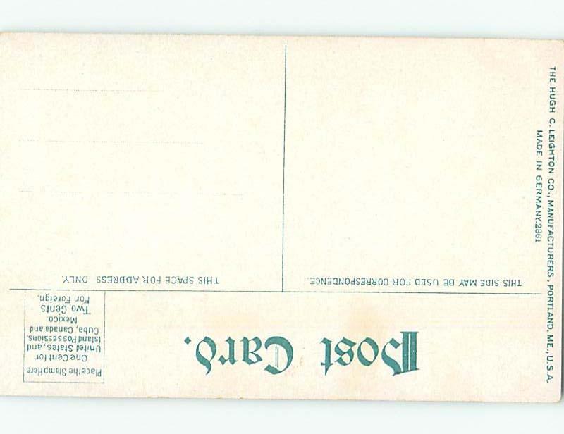 Unused Divided-Back POSTCARD FROM Rock City - Olean New York NY HM6192