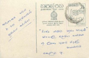 Entier Postal Stationery Postal Sri Lanka Ceylon Lion