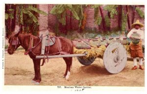 Mexican Water Carrier