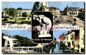 Modern Postcard Montargis Remembrance Dog of Montargis