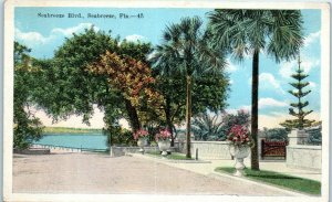 1920s Seabreeze Boulevard Seabreeze Florida Postcard