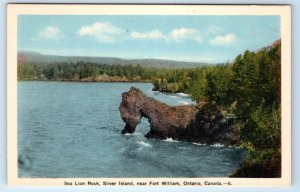 Sea Lion Rock Silver Island near Fort Willian Ont. CANADA Postcard