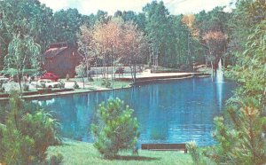 Warwick, RI Rhode Island  COWESETT HILLS APARTMENTS Community Park~Lake Postcard