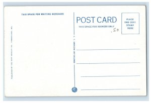 c1915-20 Woodsdale, Wheeling, W. Va. Postcard P7E