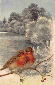 Robins on Branch Country Pond Bird Pair #2 1910c Greeting postcard