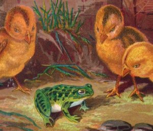 1880s Victorian Trade Card Cute Baby Chicks & Happy Frog #6W