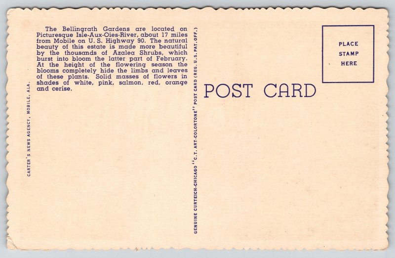 Mobile Alabama~Bellingrath Gardens~Path Among Foliage~Linen Postcard