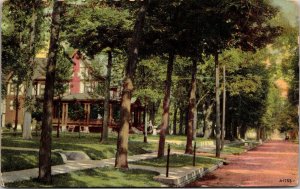 Postcard Illinois Lincoln Tremont Street View East from Water Street 1913 V151