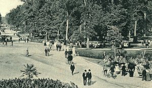 Central Avenue Belle Isle Detroit Michigan Vintage Standard View Postcard 