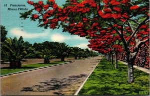 Vtg 1940s Royal Poinciana Street View Miami Florida FL Linen Postcard